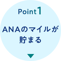 Point1 ANAのマイルが貯まる