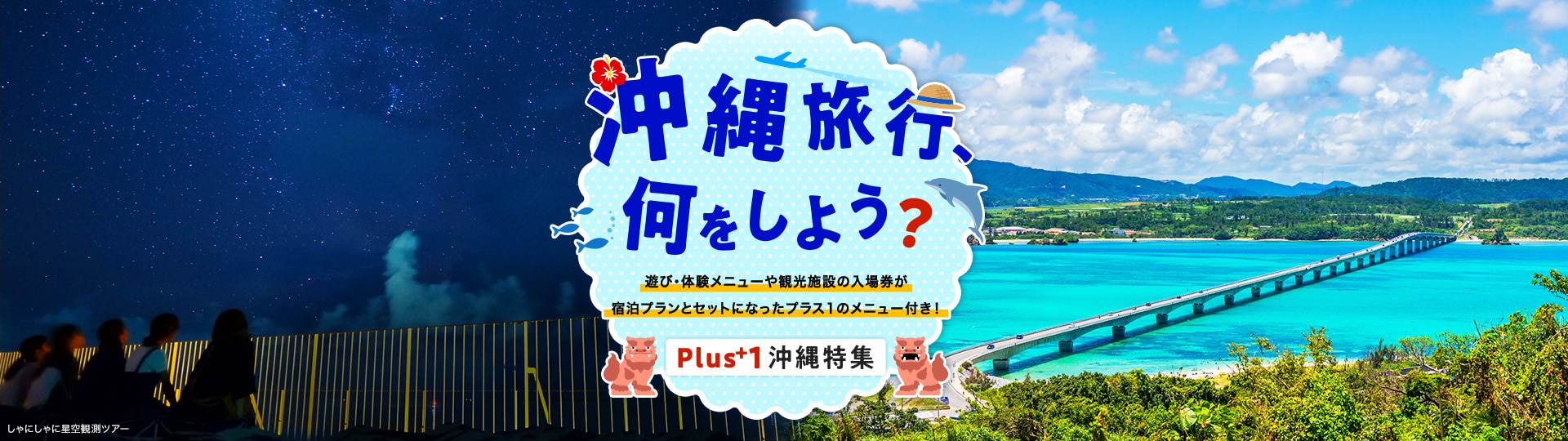 遊び・体験メニューや観光施設の入場券が宿泊プランとセットになったプラス1のメニュー付き！ しゃにしゃに星空観測ツアー