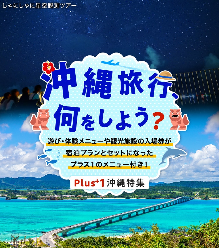 遊び・体験メニューや観光施設の入場券が宿泊プランとセットになったプラス1のメニュー付き！ しゃにしゃに星空観測ツアー