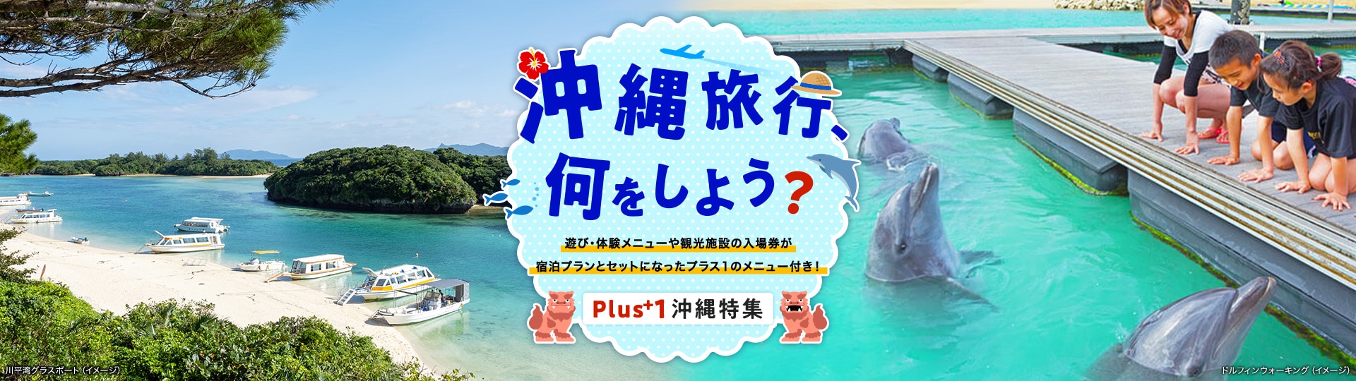 遊び・体験メニューや観光施設の入場券が宿泊プランとセットになったプラス1のメニュー付き！ 川平湾グラスボート、ドルフィンウォーキングのイメージ写真