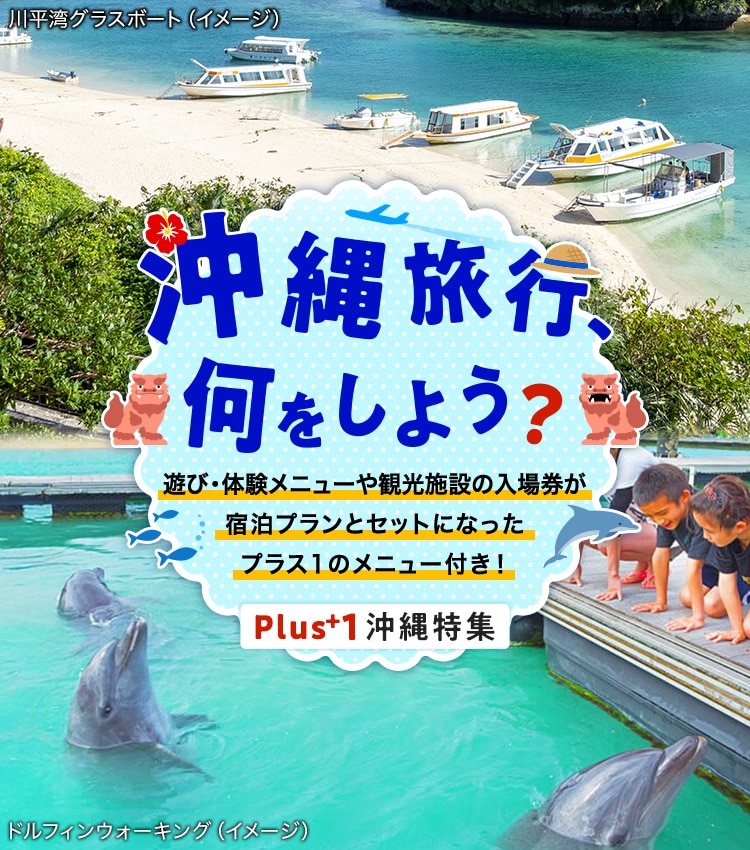 遊び・体験メニューや観光施設の入場券が宿泊プランとセットになったプラス1のメニュー付き！ 川平湾グラスボート、ドルフィンウォーキングのイメージ写真