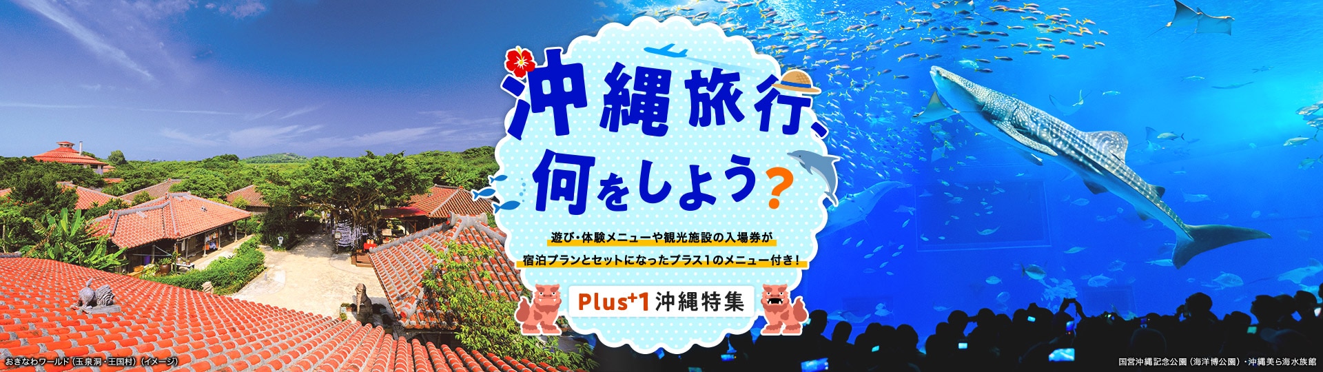 遊び・体験メニューや観光施設の入場券が宿泊プランとセットになったプラス1のメニュー付き！ おきなわワールド（玉泉洞・王国村）、国営沖縄記念公園（海洋博公園）・沖縄美ら海水族館のイメージ写真