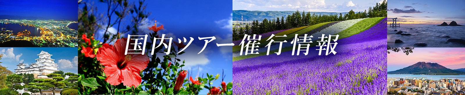  国内ツアー催行情報