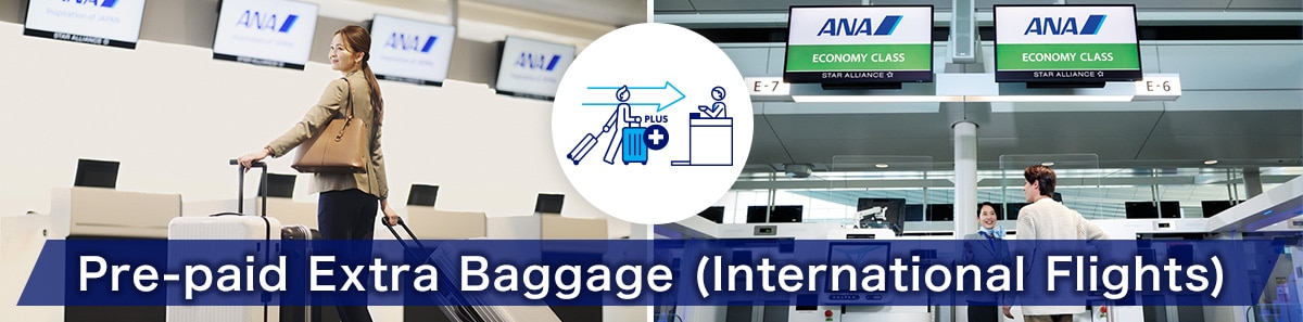 Pre-paid Extra Baggage (International Flights)