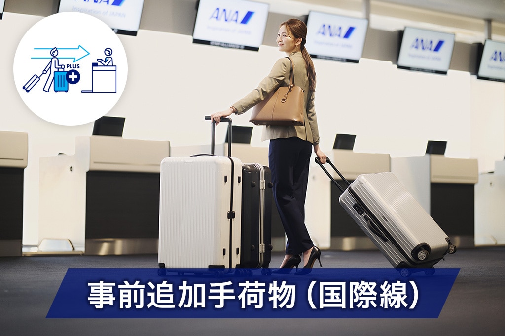 事前追加手荷物（国際線）