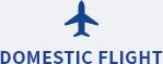 DOMESTIC FLIGHT