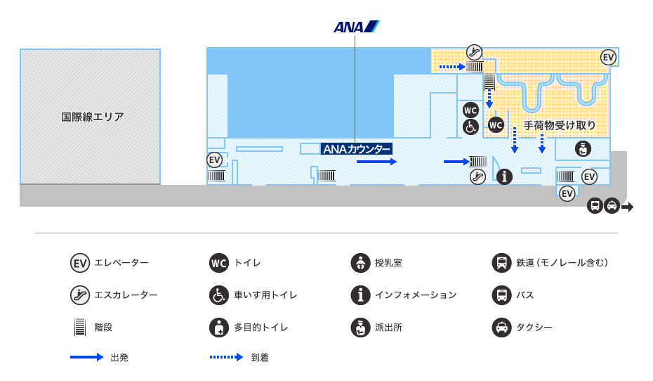 MAP画像