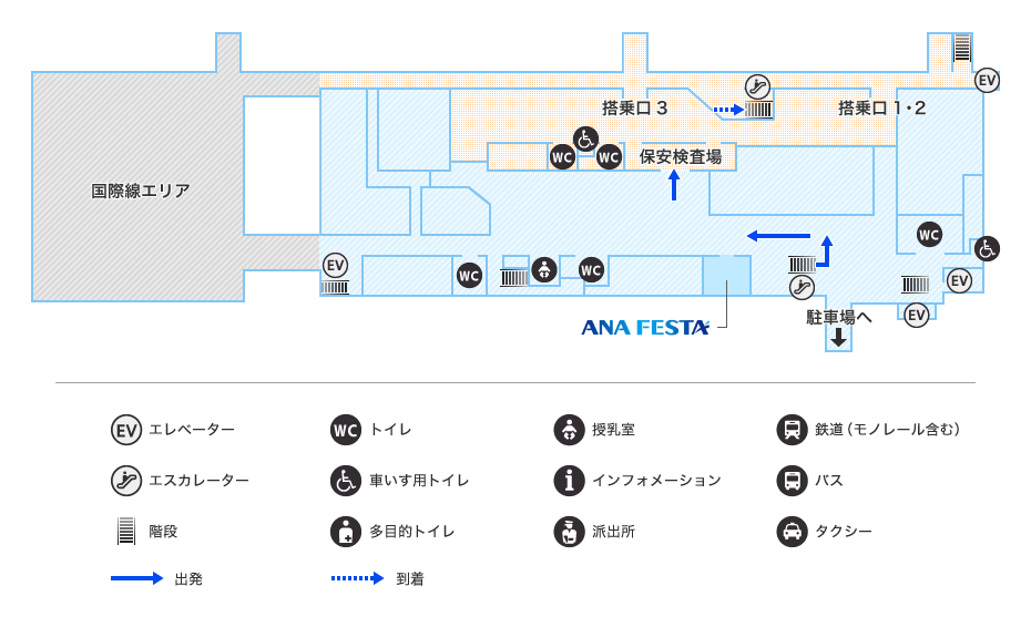 MAP画像