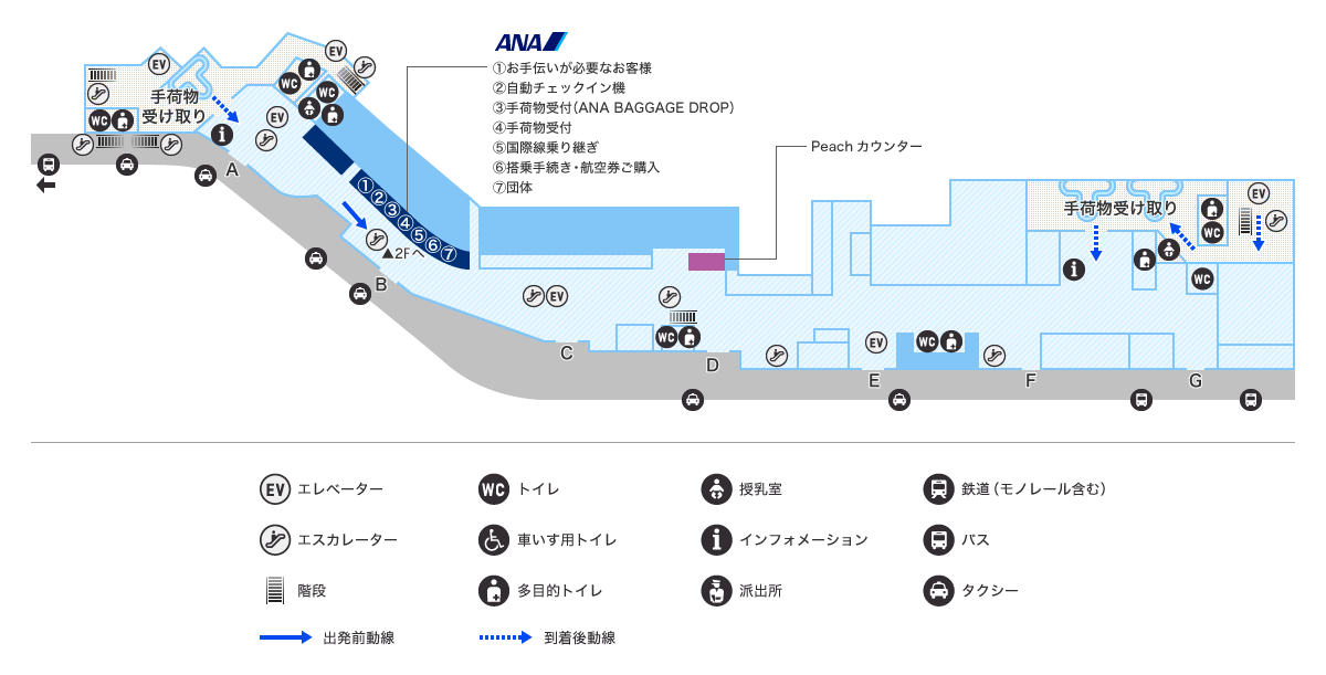 MAP画像