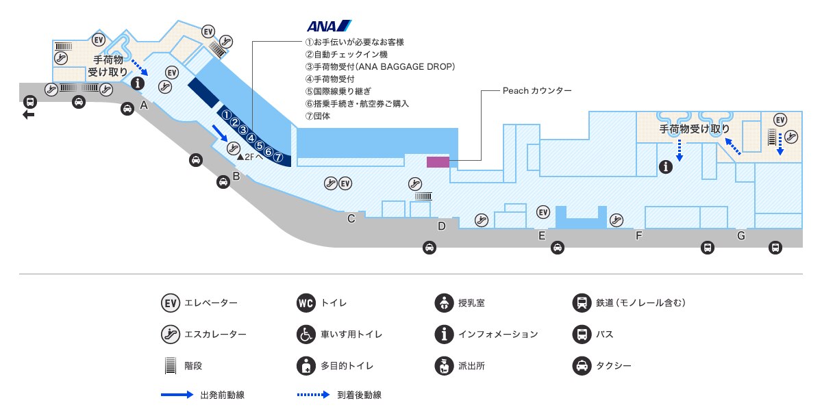 MAP画像