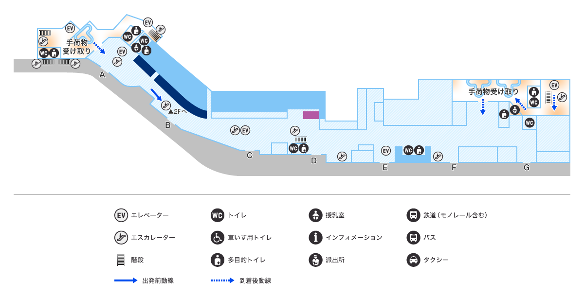 MAP画像