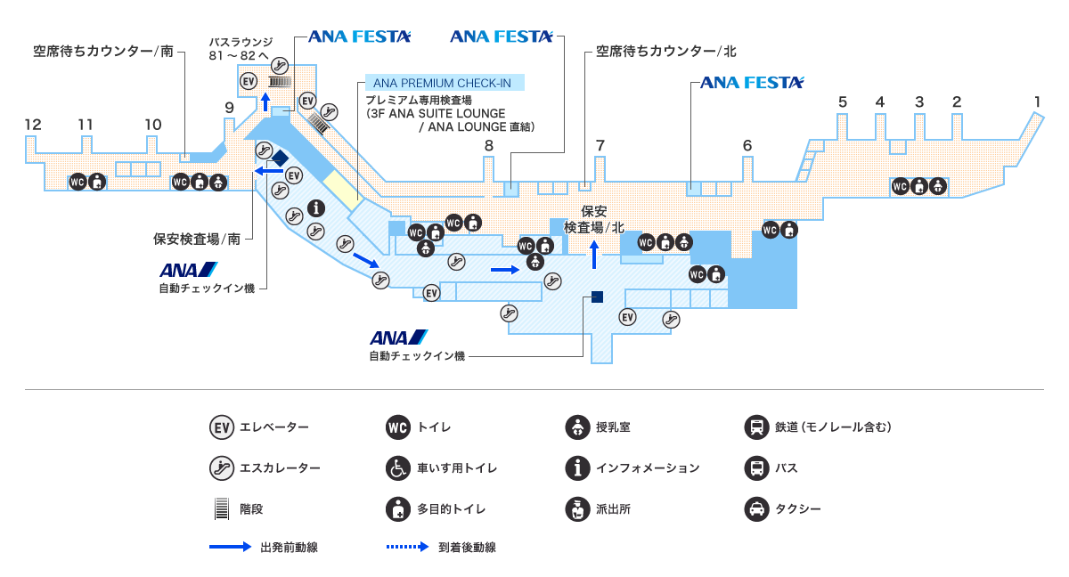 MAP画像