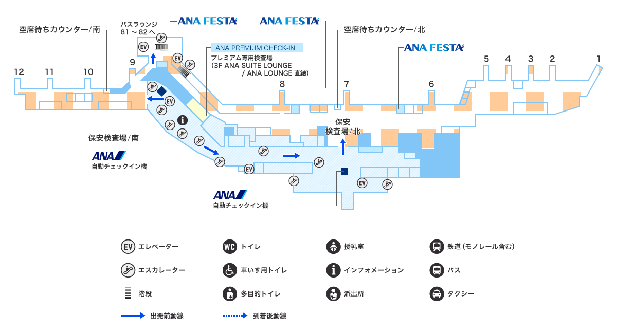 MAP画像
