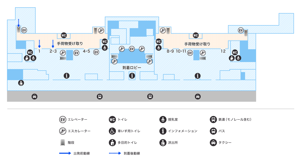MAP画像