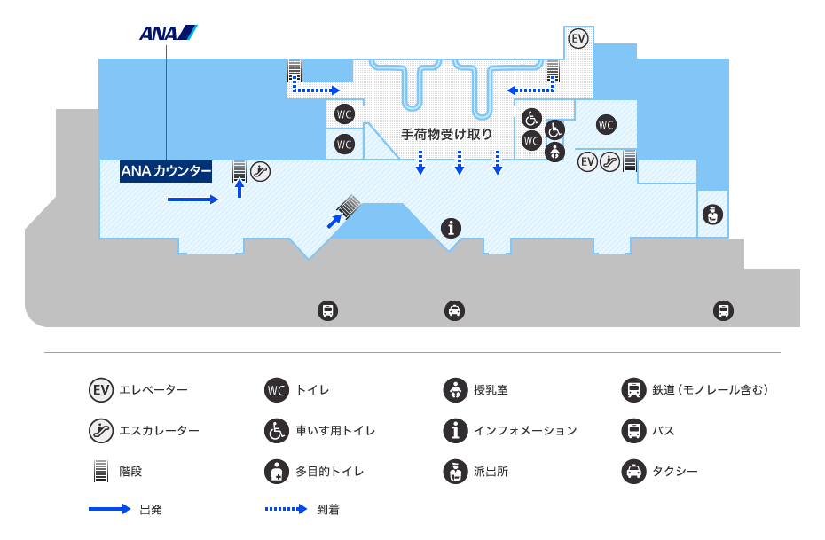 MAP画像