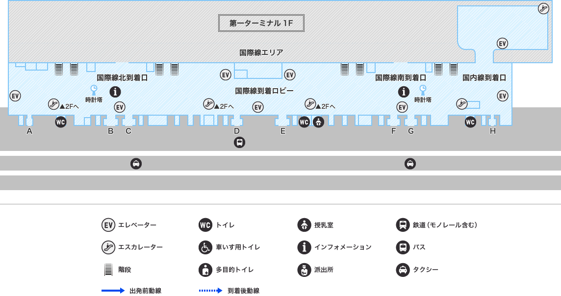 MAP画像