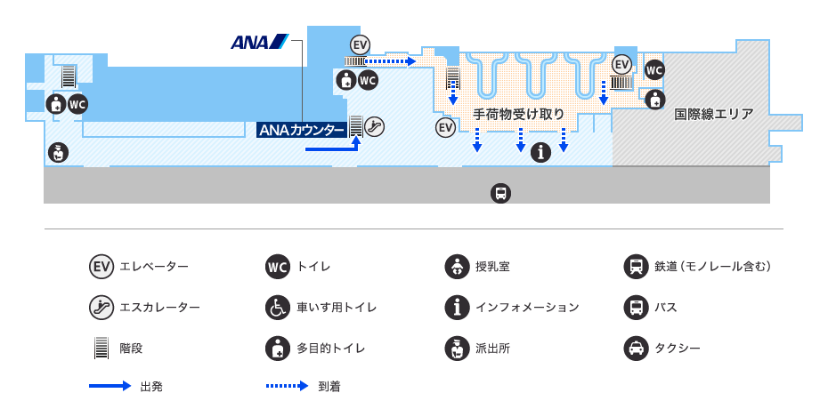 MAP画像