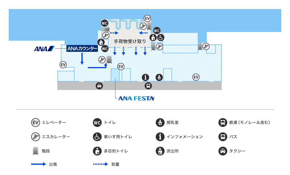 MAP画像