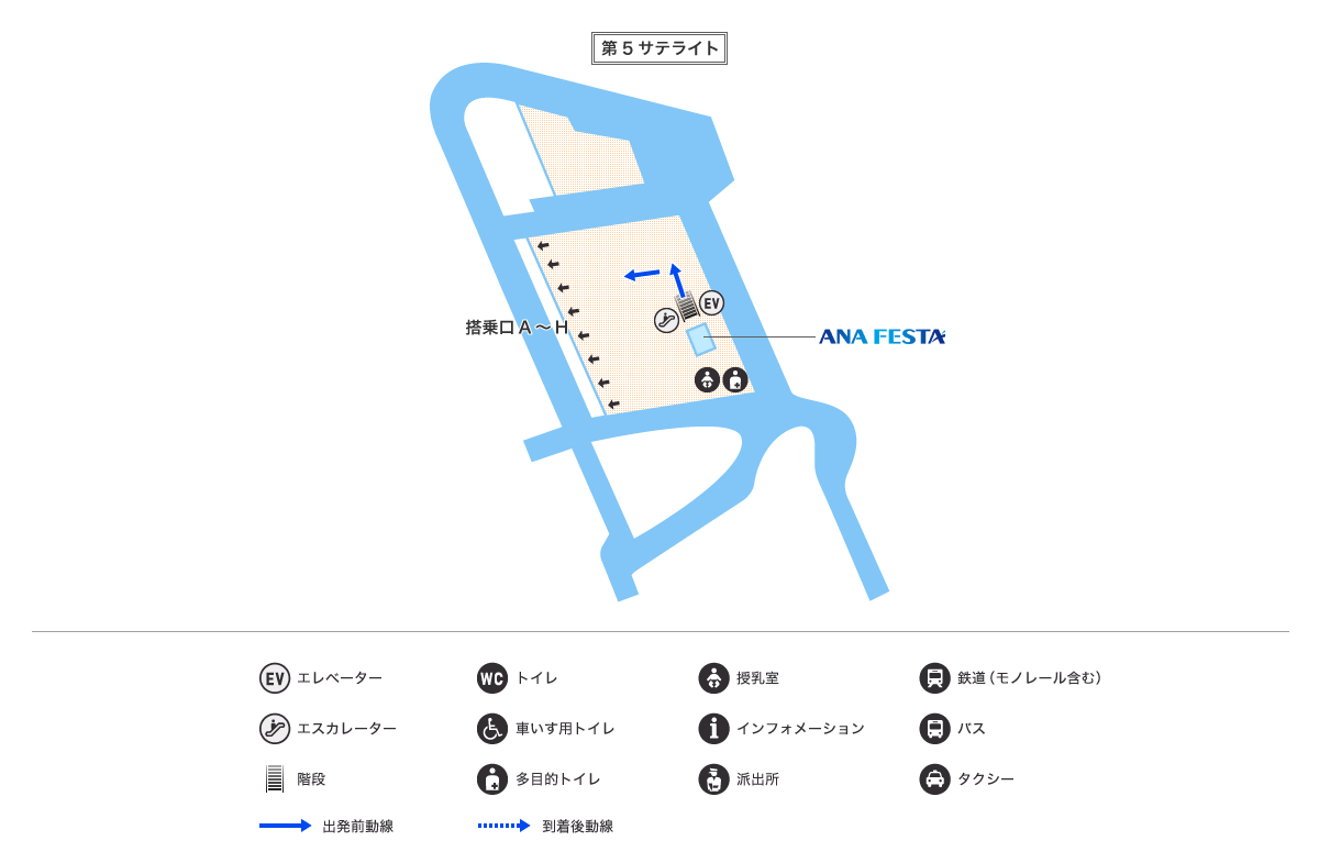 MAP画像