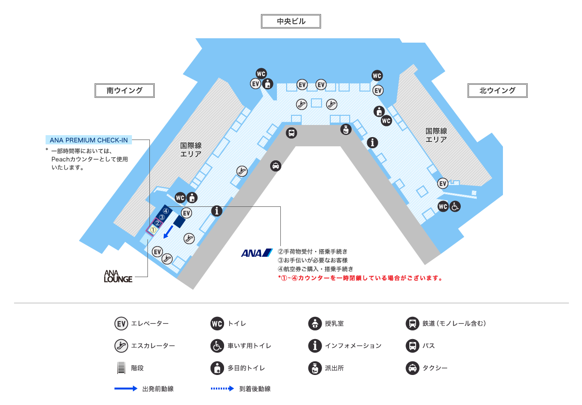 MAP画像