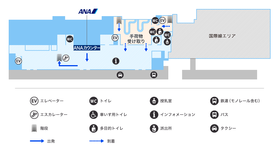 MAP画像