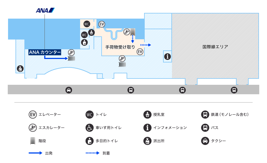 MAP画像