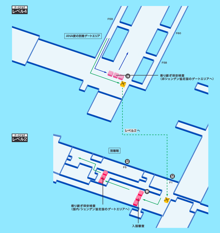 MAP画像