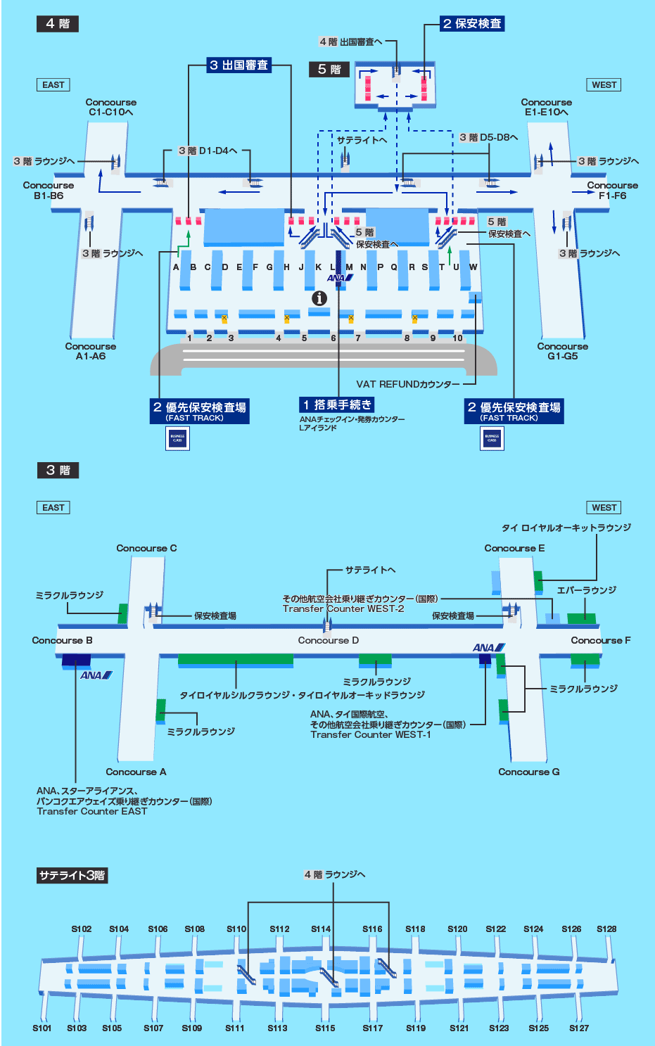 MAP画像
