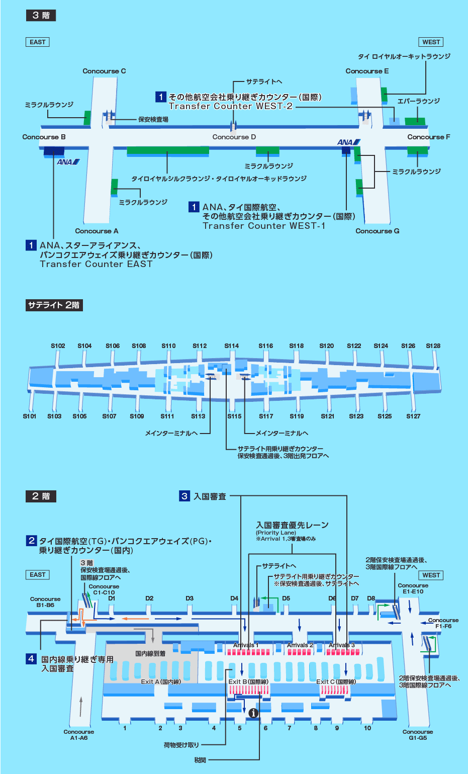 MAP画像