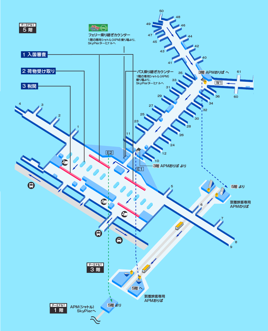 MAP画像