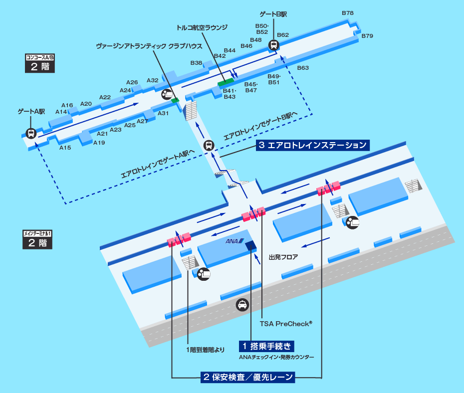 MAP画像