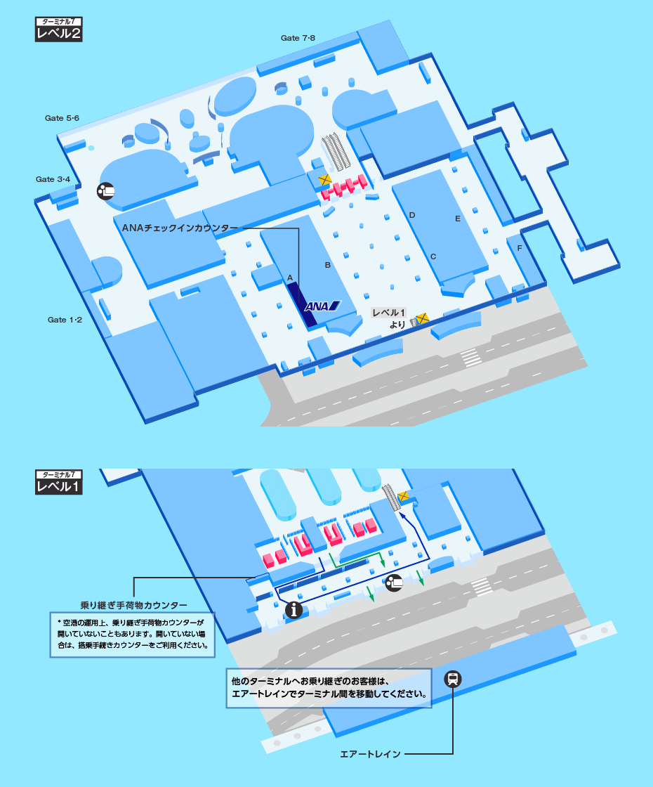 MAP画像