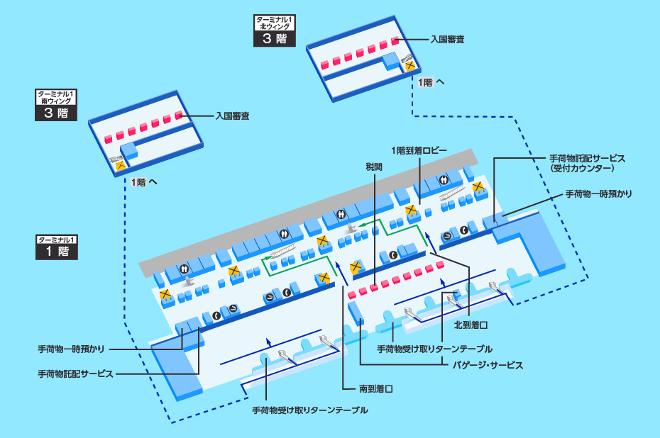 MAP画像