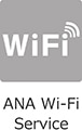 ANA Wi-Fi Serviceなし