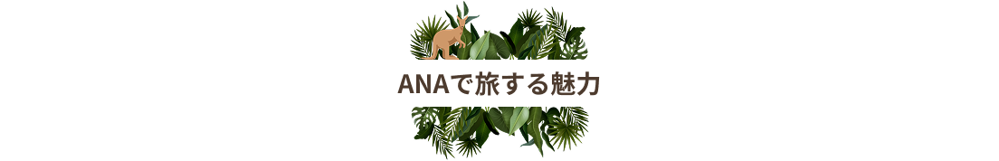 ANAで旅する魅力