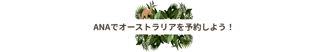 ANAでオーストラリアを予約しよう！
