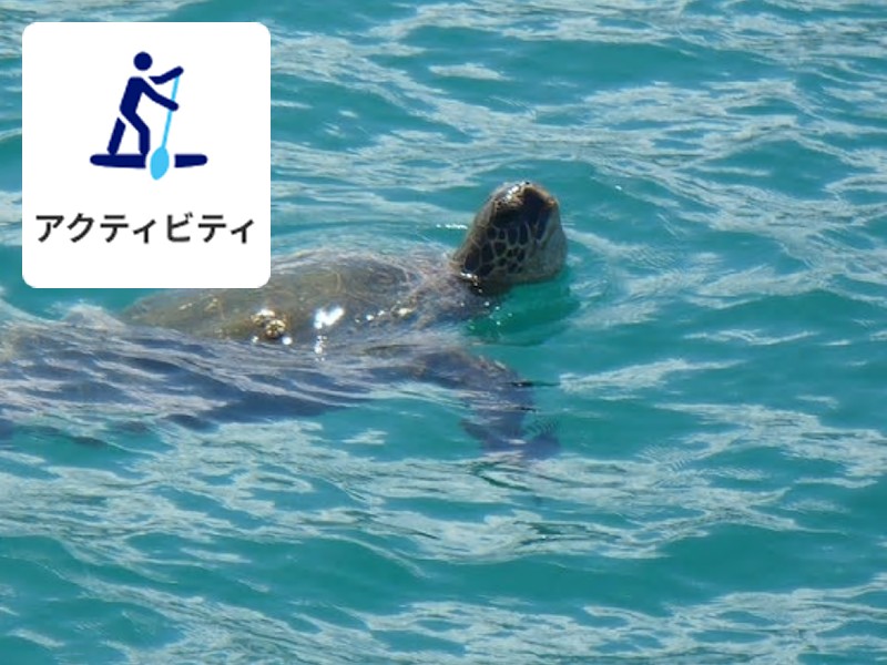 アクティビティ