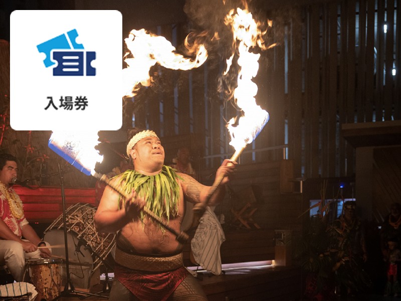 入場券
