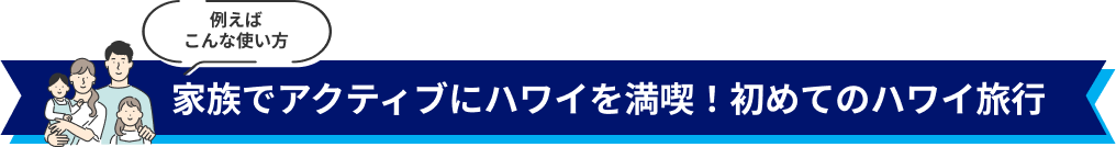 例えば こんな使い方 家族でアクティブにハワイを満喫！初めてのハワイ旅行