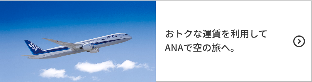 おトクな運賃を利用してANAで空の旅へ。