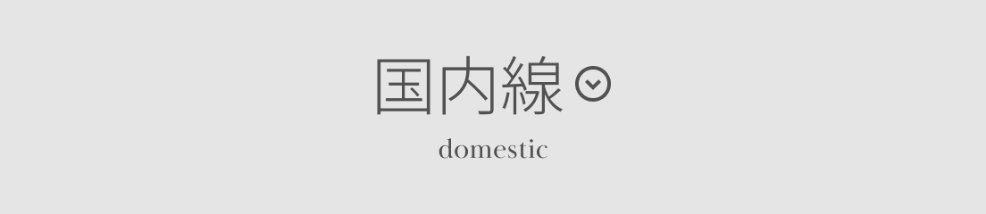 国内線 domestic