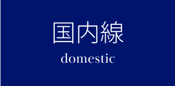 国内線 domestic