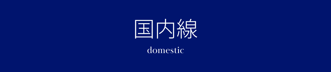 国内線 domestic