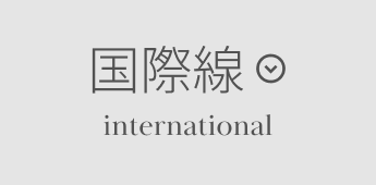 国際線 international