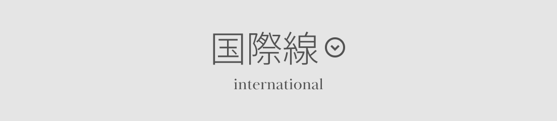 国際線 international