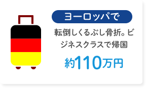 ヨーロッパで転倒しくるぶし骨折。ビジネスクラスで帰国 約110万円