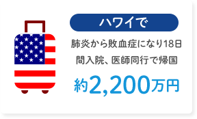 ハワイで肺炎から敗血症になり18日間入院、医師同行で帰国 約2,200万円