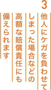 3.他人にケガを負わせてしまった場合などの高額な賠償責任にも備えられます