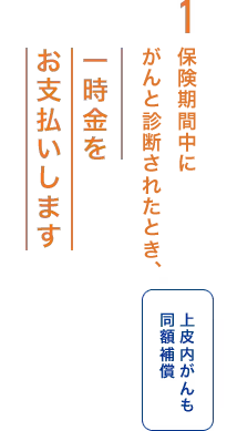 1.保険期間中にがんと診断されたとき、一時金をお支払いします