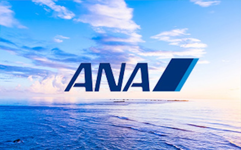 ANA Image